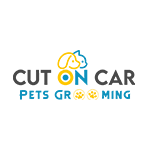 cut on car